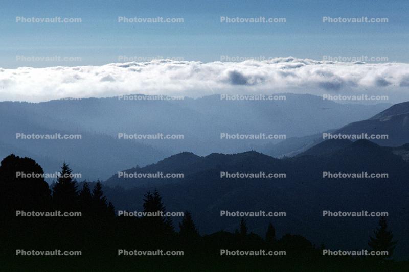 looking north from Mount Tamalpais