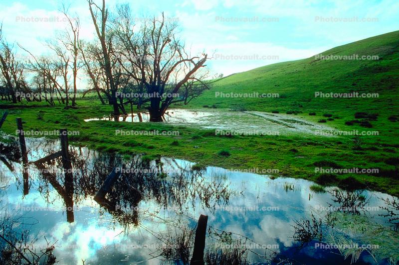 Valley Ford, Fence, Flooding, Sonoma County