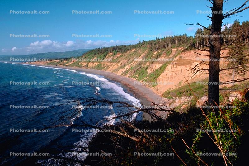 Coastal Cliffs and Pacific Ocean, Sue-meg, Forest
