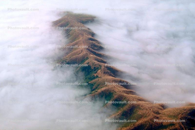 Mount Diablo Floating in a Sea of Fog