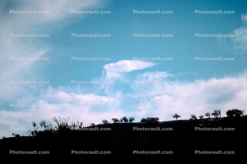Salinas Valley, clouds, ridge, trees
