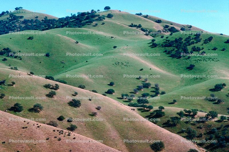 Diablo Range, Hills, Hillside, velvet, trees, patterns, shapes