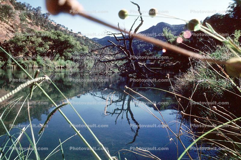 Solano Lake, Napa County, water