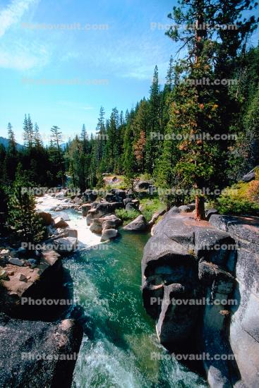 River, Stream, Forest, Rocks