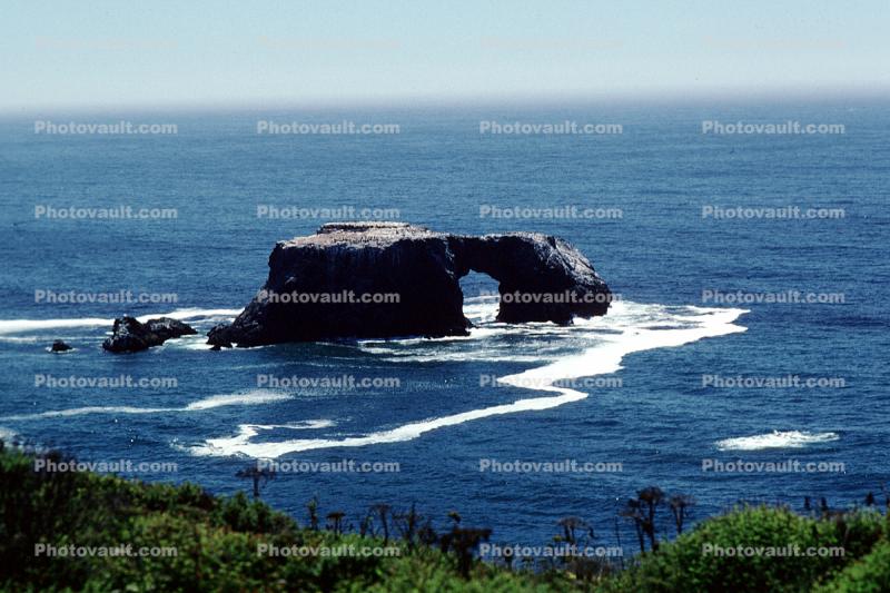 Goat-Rock, Arch, Pacific Ocean, Foam, Horizon