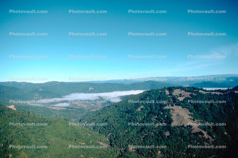 Fog, Foggy Valley, forest, hills, mountains, southern Humboldt County