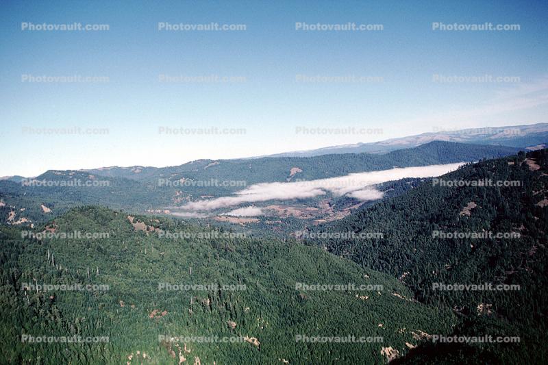 Fog, Foggy Valley, forest, hills, mountains, southern Humboldt County