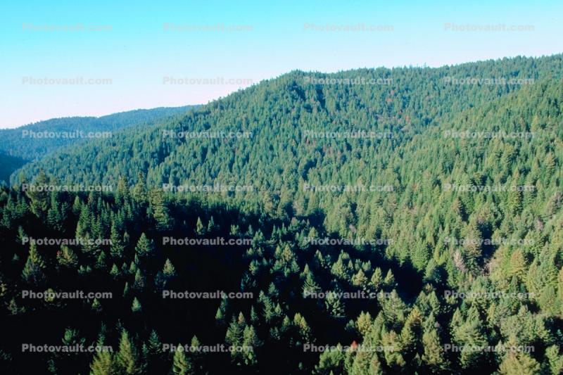 Valley, forest, hills, mountains, southern Humboldt County