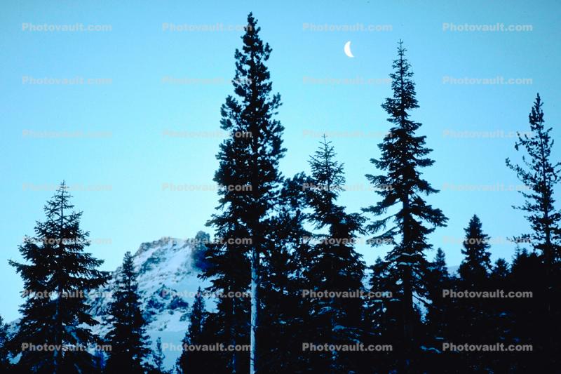 Moon, Trees, Mountains