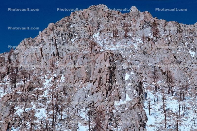 Granite Cliff, trees, Sierra-Nevada