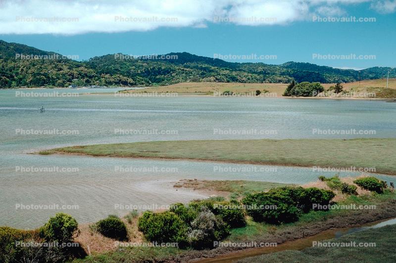 Point Reyes, Tomales Bay, wetlands, Marin County
