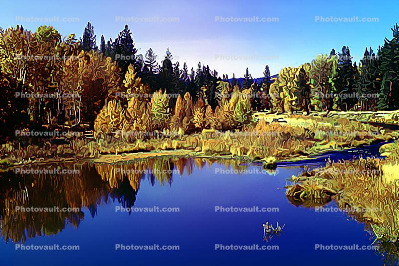 pond, lake, stream, forest, water, Paintography