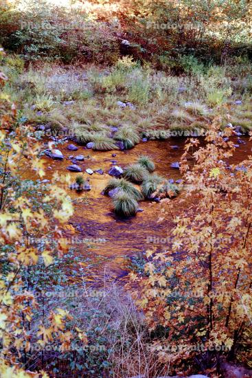 autumn, stream, leaves, River, Rocks, Trees