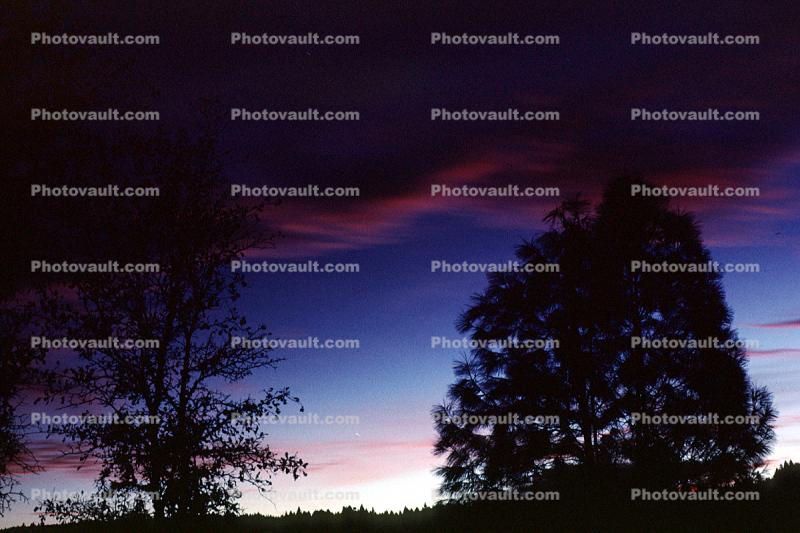 Lake Pillsbury, Sunset, clouds, Trees, Mendocino National Forest, Mendocino County, water