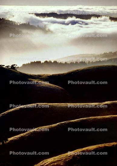 Layers of Hills and Fog, Mount Tamalpais