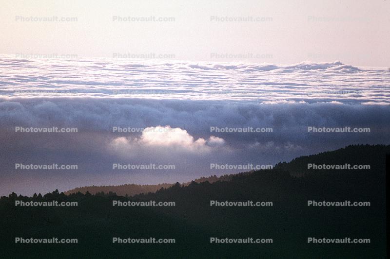 Mount Tamalpais, Fog, Pacific Ocean