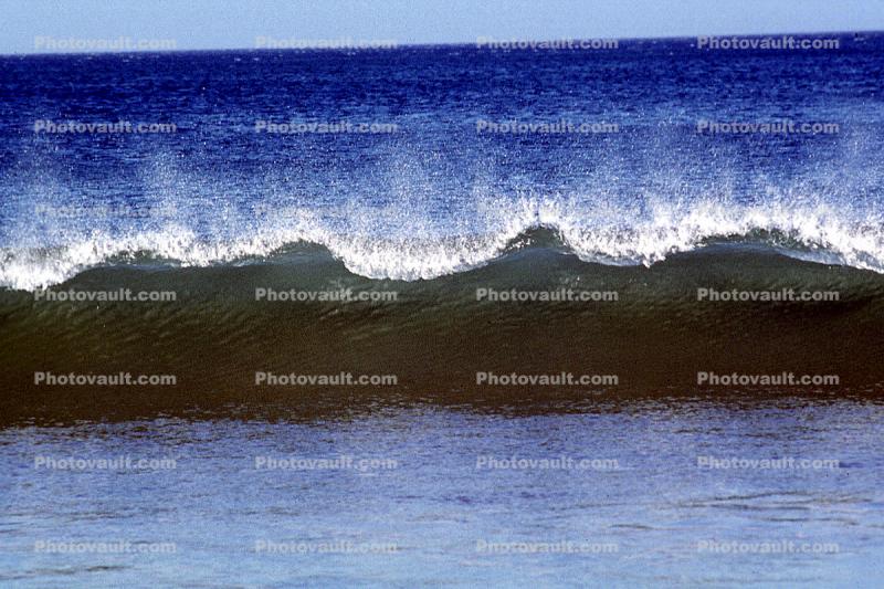 Drakes Bay, wave