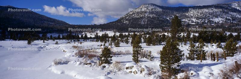 Mountains, Snow, Ice, Cold, Icy, Winter, Woodlands, El Dorado National Forest, Amador County, Panorama