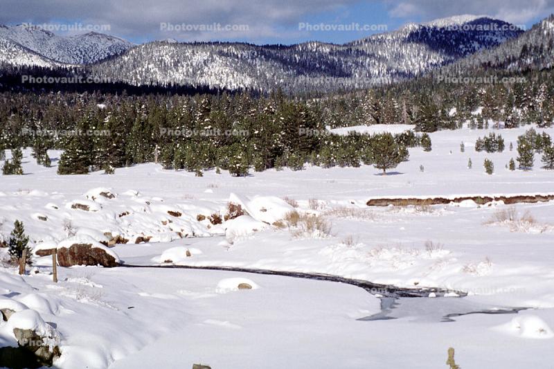 Sierra-Nevada Mountains, Ice, Cold, Frozen, Icy, Winter, Woodlands, El Dorado National Forest, Amador County