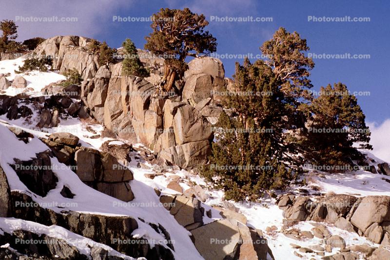 Sierra-Nevada Mountains, Ice, Cold, Frozen, Icy, Winter, El Dorado National Forest, Amador County, along California Highway 88, Granite Rocks