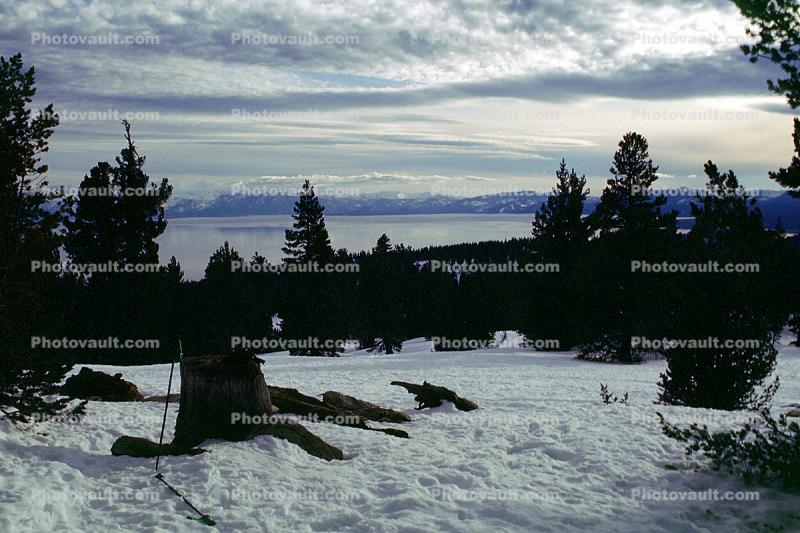 snow, ice, forest, Lake Tahoe, water
