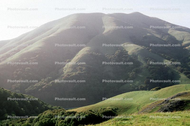 Hill, mountain, Marin County, Nicasio