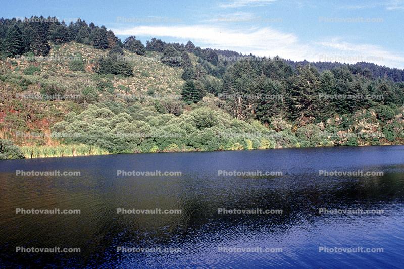 Bass Lake, Hills, woodland, water, thick vegetation