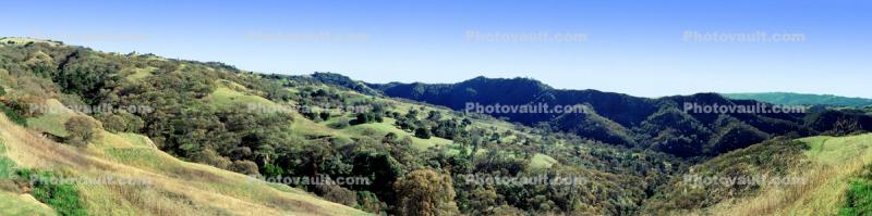 Hills, Woodlands, Forest, Trees, rolling hills, Mount Diablo State Park, Panorama