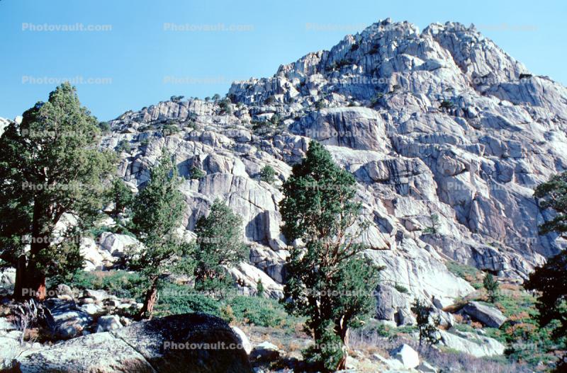Granite, Rocks, Mountain, trees