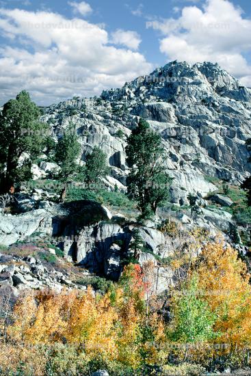 Granite Rocks, Aspen Trees, Sierra-Nevada Mountains