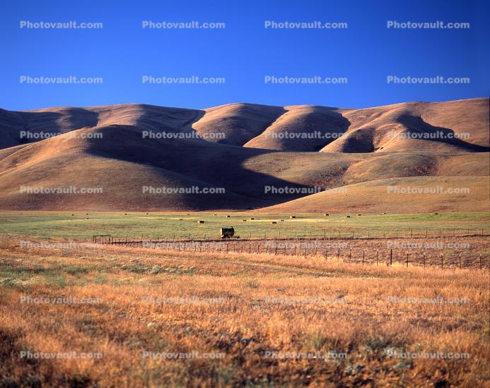 Hills of Livermore