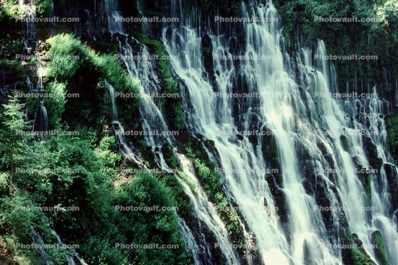 Waterfall, McArthur-Burney Falls Memorial State Park, 	Shasta County