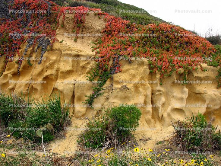 Point Loma Coastline, San Diego, Erosion, Cliff fractals, Cabrillo National Monument