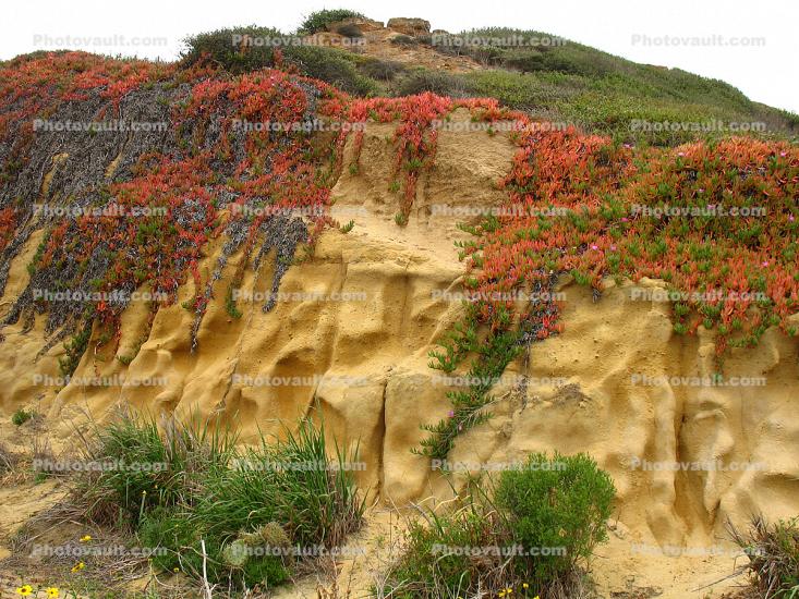 Point Loma Coastline, San Diego, Erosion, Cliffs, Cabrillo National Monument