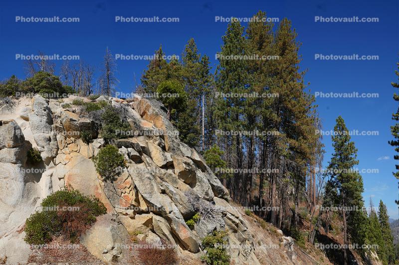 Textured Granite Cliff