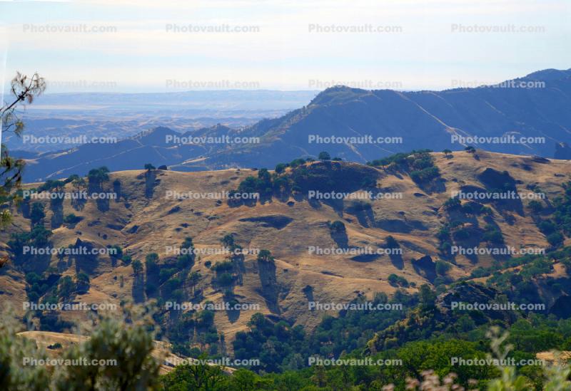 north of Parkfield, south west of Coalinga, Dry Mountains Hills, trees