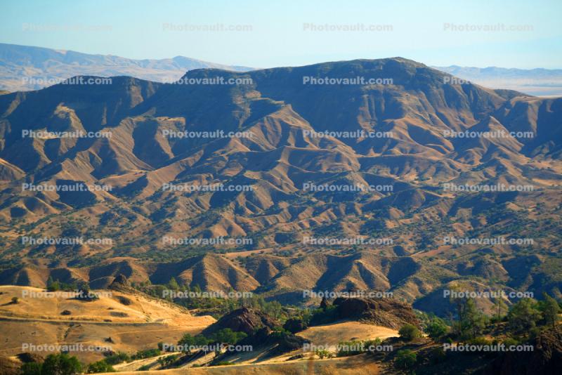 west of Coalinga, Dry Mountin Hills, trees