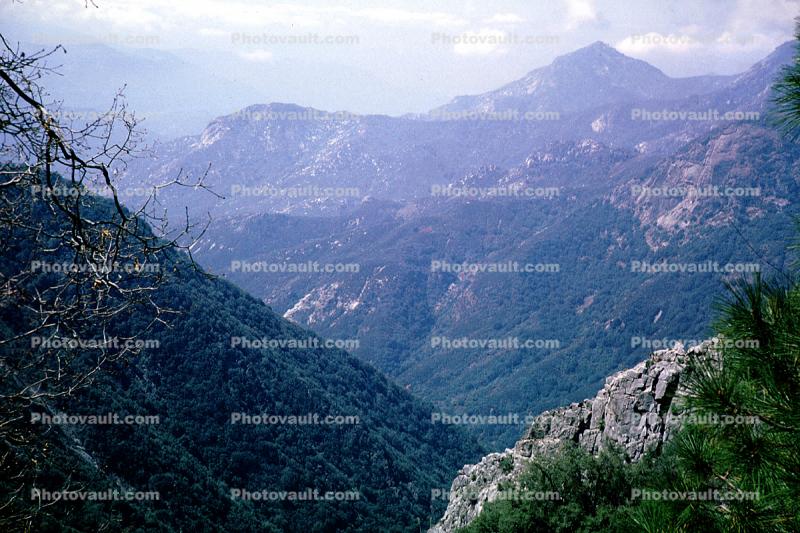 Mountains, Valley, trees, 1950s