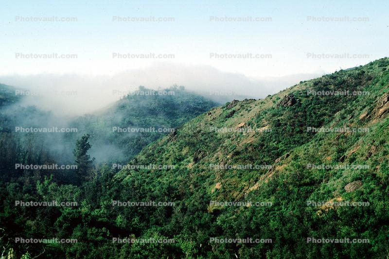 Hills, Fog, Pacific Palisades
