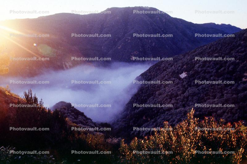 fog nested in the valley, hills, mountains