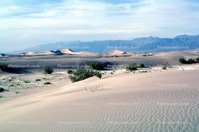 Sand Dunes, mountains, Death Valley National Park