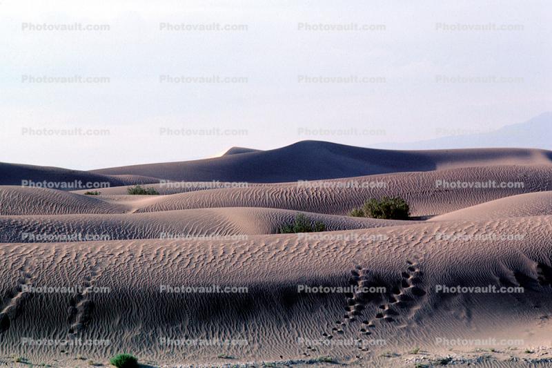 Sand Dunes, footprints, sandy, hills