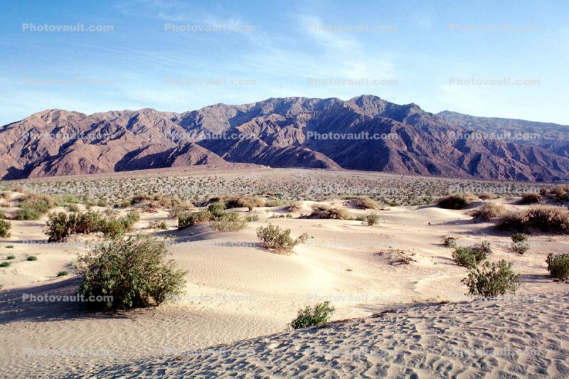 Sand Dunes, mountains, bush