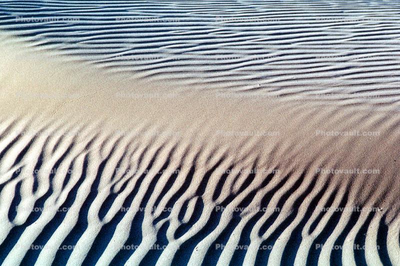 Sand Dunes, from drift to order, texture, sandy