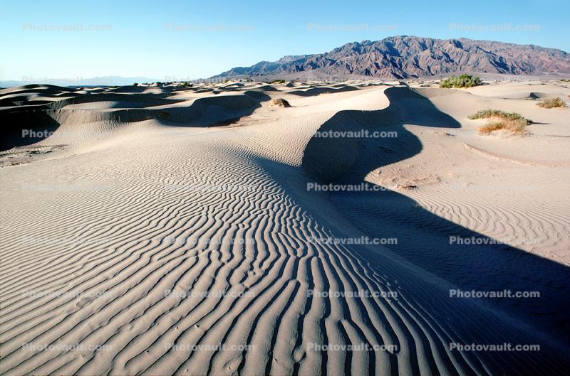 texture, Sand Dunes, ripples, sandy, ridges, Wavelets