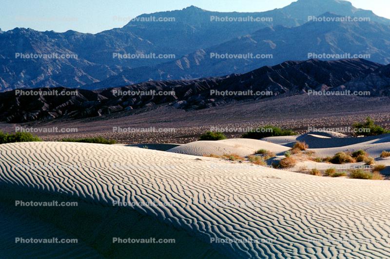 Sand Dunes, ripples, Wavelets, texture, sandy