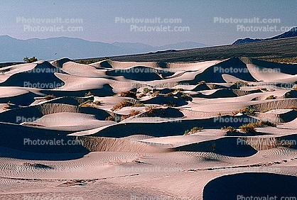 Sand Dunes, texture, sandy