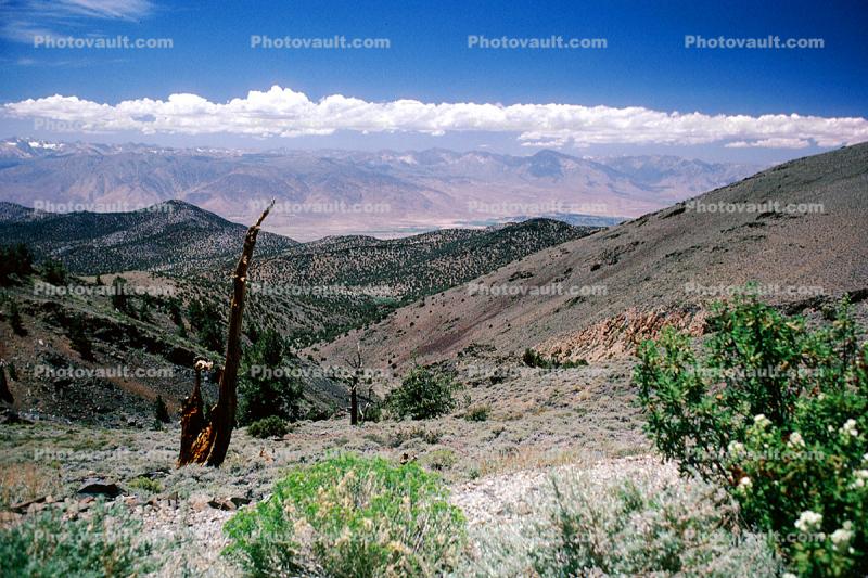 Sierra-Nevada Mountain Range, Owens Valley, clouds