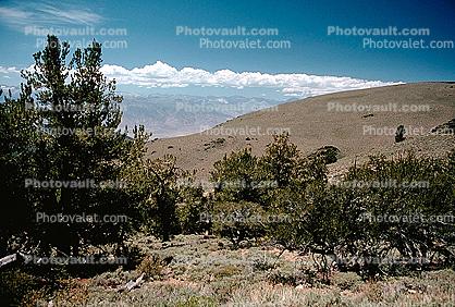 Sierra-Nevada Mountain Range, Owens Valley
