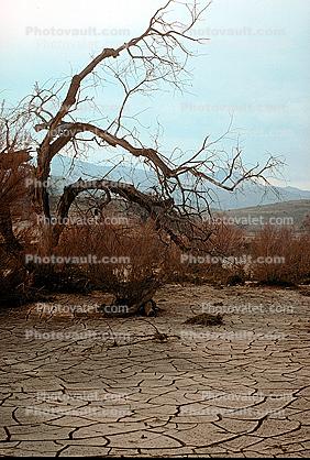 Dirt, soil, dried mud, cracked earth, Craquelure, Mud Cracked Riverbed